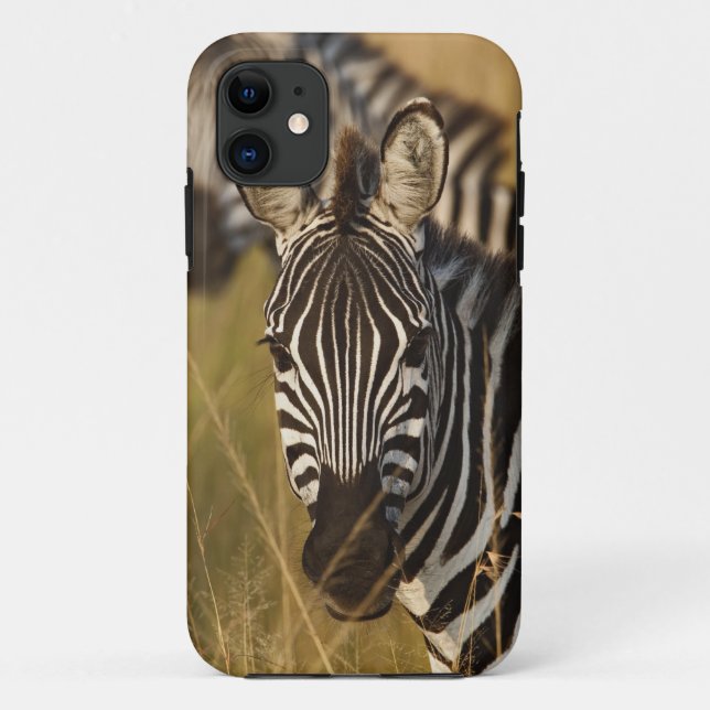 Burchell's Zebra in tall summer grass, Masai Case-Mate iPhone Case (Back)