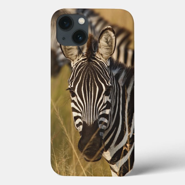 Burchell's Zebra in tall summer grass, Masai Case-Mate iPhone Case (Back)