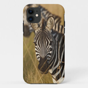Burchell's Zebra in tall summer grass, Masai Case-Mate iPhone Case