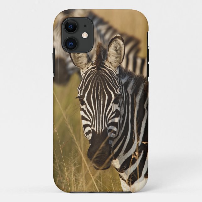 Burchell's Zebra in tall summer grass, Masai Case-Mate iPhone Case (Back)