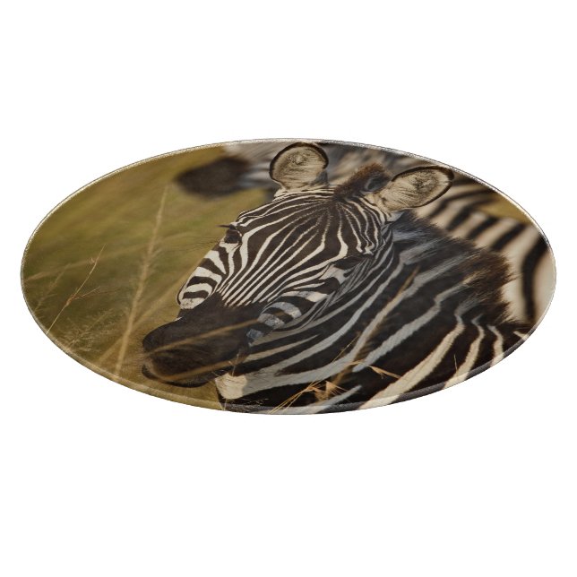 Burchell's Zebra in tall summer grass, Masai Cutting Board (Corner)
