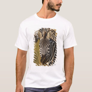 Burchell's Zebra in tall summer grass, Masai T-Shirt