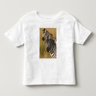 Burchell's Zebra in tall summer grass, Masai Toddler T-Shirt