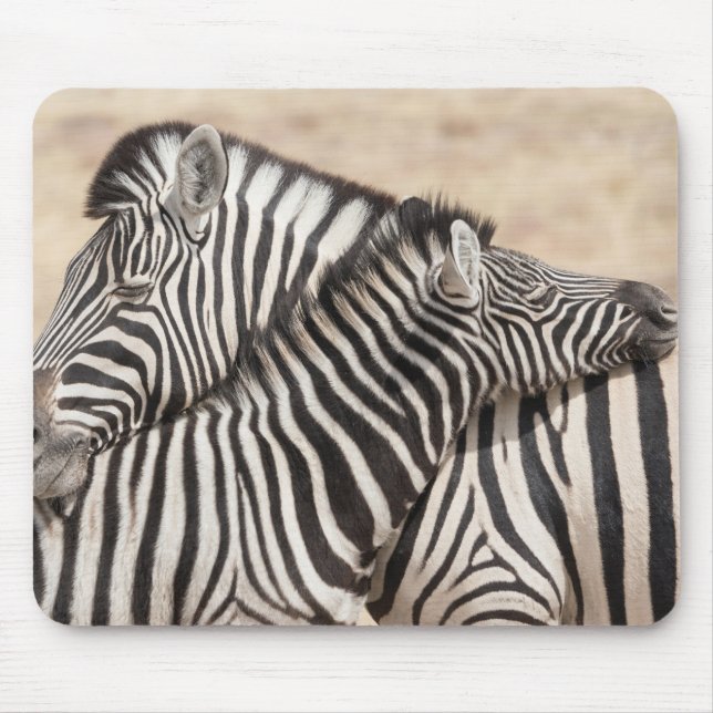 Burchell's Zebras Necking Mouse Pad (Front)