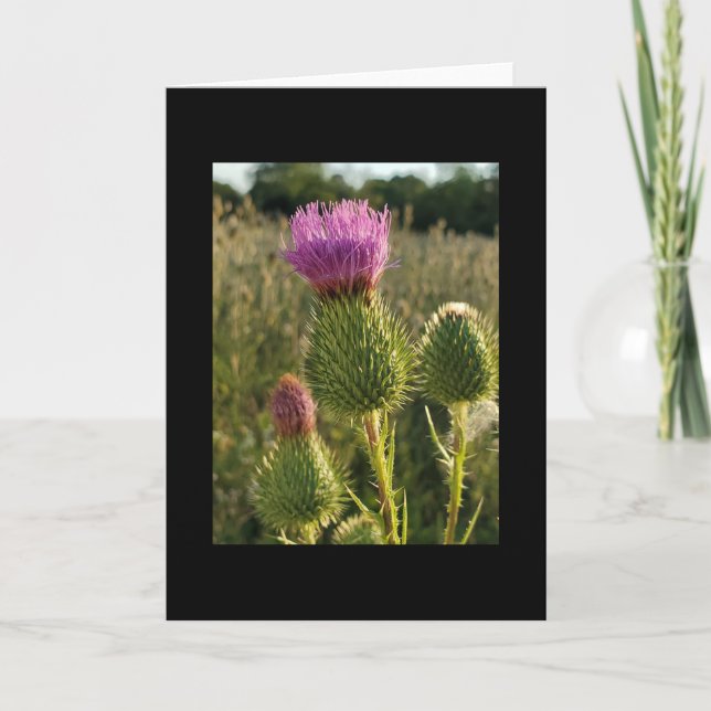 Burdock Thistle card (Front)