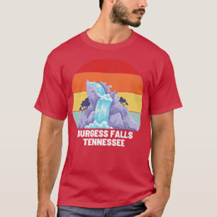Burgess Falls Tennessee 12 T-Shirt