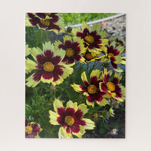 Burgundy and Yellow Coreopsis, San Mateo Jigsaw Puzzle (Vertical)