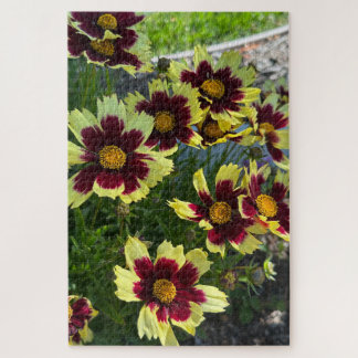 Burgundy and Yellow Coreopsis, San Mateo Jigsaw Puzzle