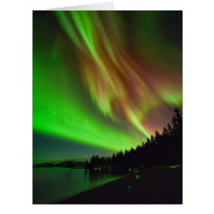 Burgundy Aurora
