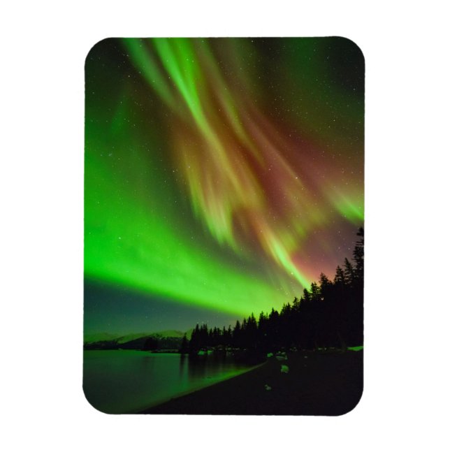 Burgundy Aurora Magnet (Vertical)