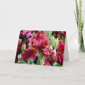 Burgundy Iris Flower Greeting Card (Blank Inside)