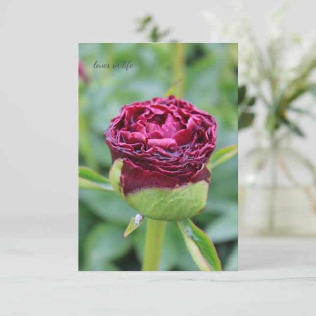 Burgundy Peony Bud Card (Standing Front)