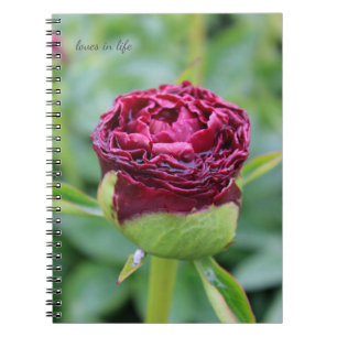 Burgundy Peony Bud Notebook