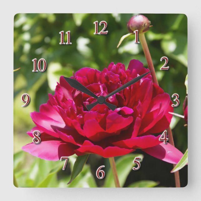 Burgundy peony square wall clock (Front)