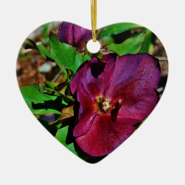 Burgundy Pink Lenten Rose Ceramic Tree Decoration (Front)