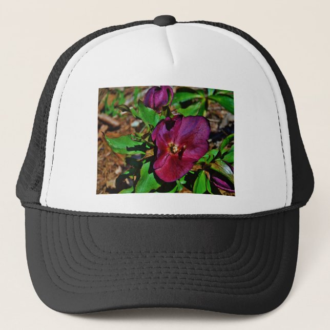 Burgundy Pink Lenten Rose Trucker Hat (Front)