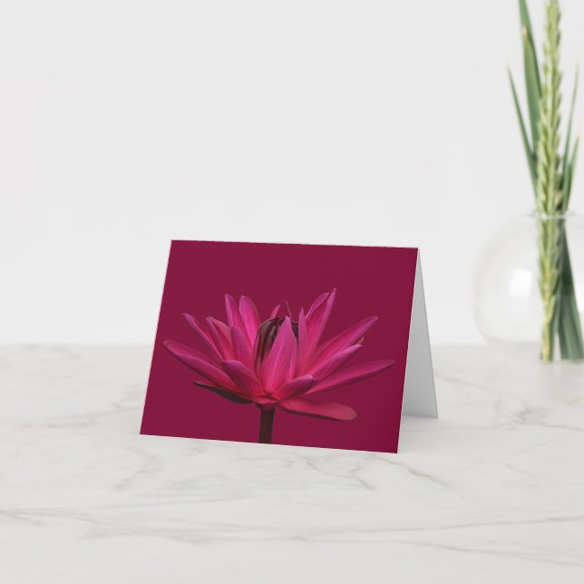 Burgundy Pink Water Lily Blank Note Greeting Cards (Front)