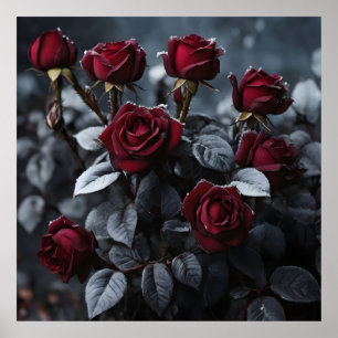burgundy roses with black leaves covered with fros poster