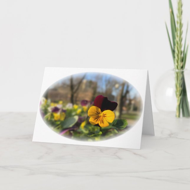 Burgundy yellow pansy card (Front)