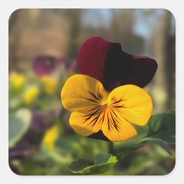 Burgundy yellow pansy square sticker (Front)