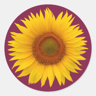 Burgundy Yellow Sunflower Flower Envelope Seal