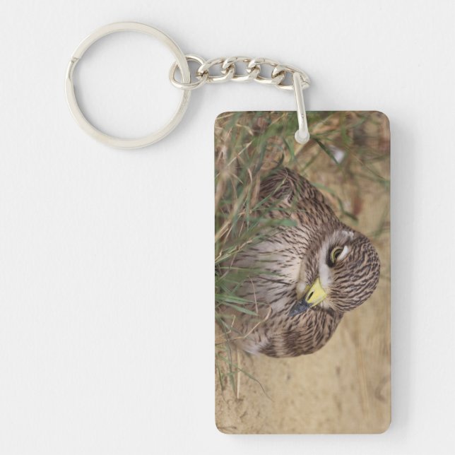 Burhinus oedicnemus key ring (Front)