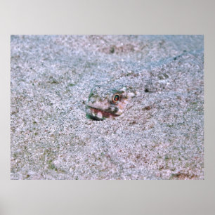 Buried Poster