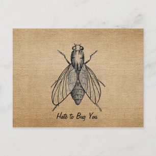 Burlap Vintage Hate to Bug You Fly Postcard