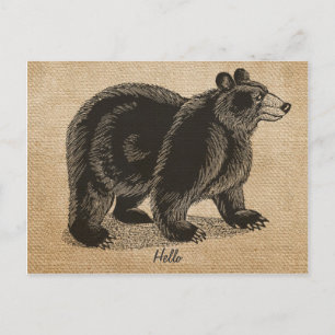 Burlap Vintage hello Bear Postcard