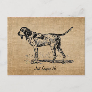 Burlap Vintage Hello Bird Dog Hunting Postcard