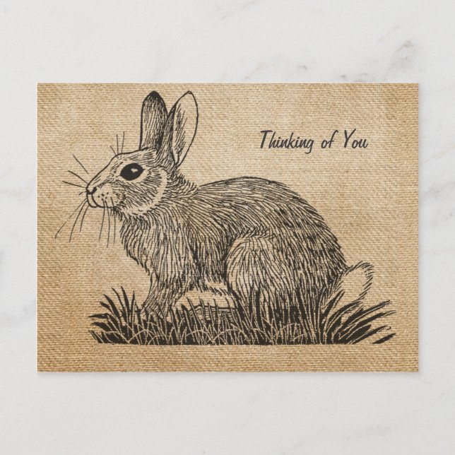 Burlap Vintage Rabbit Thinking of You Postcard (Front)