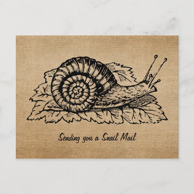 Burlap Vintage Sending Snail Mail Postcard (Front)