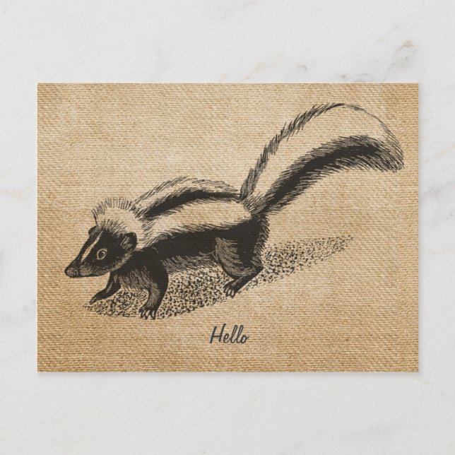 Burlap Vintage Skunk Postcard (Front)