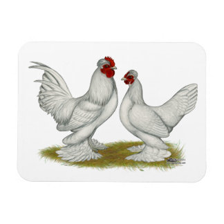 Burmese Bantams Magnet