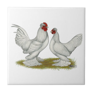 Burmese Bantams Tile