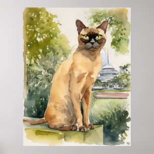 Burmese - Cat Art Print