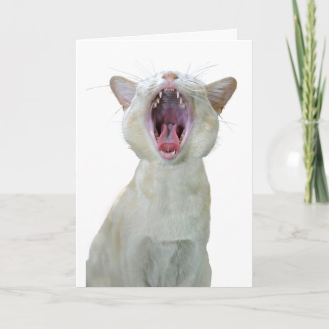 Burmese cat birthday card (Front)