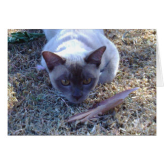 Burmese Cat Card