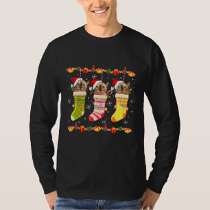Burmese Cat In Socks Christmas T-Shirt