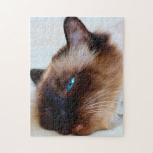 Burmese Cat. Jigsaw Puzzle