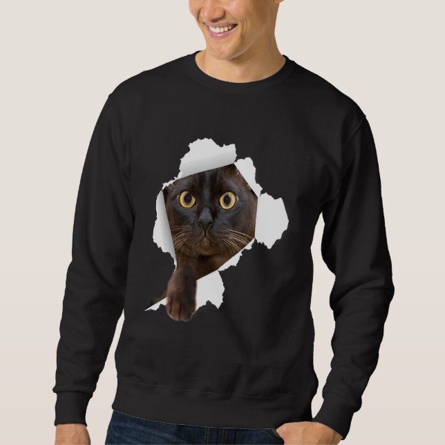 Burmese Cats Torn Cloth Kitten Sweatshirt (Front)