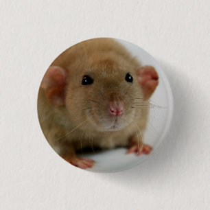 Burmese dumbo Rat 3 Cm Round Badge