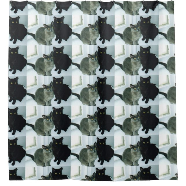 burmese group shower curtain (Front)