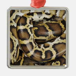Burmese python metal tree decoration