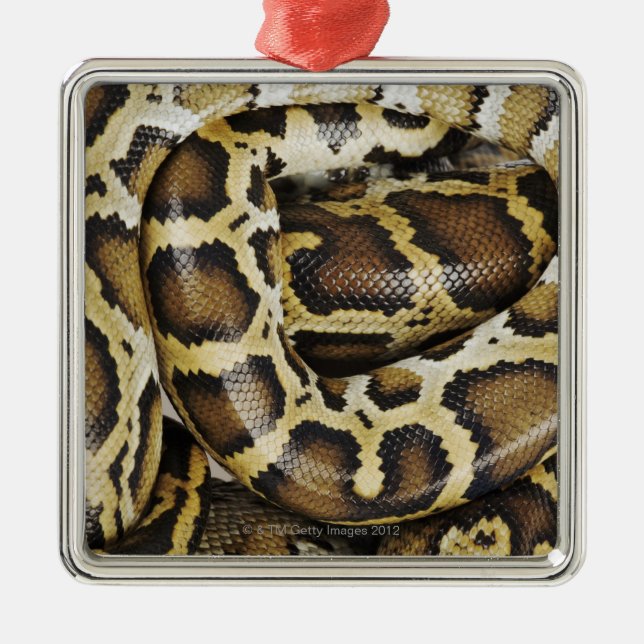 Burmese python metal tree decoration (Front)