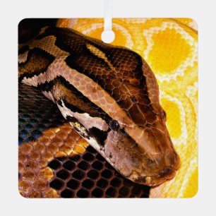 Burmese Python Snake Metal Tree Decoration