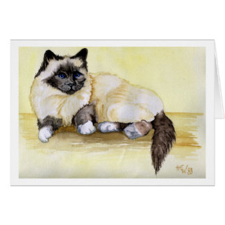 Burmese Seal Point Cat