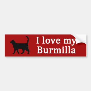 Burmilla Love Bumper Sticker