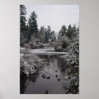 Burnaby's Central Park: Half-frozen Lower Pond Poster