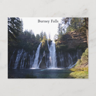Burney Falls Postcard